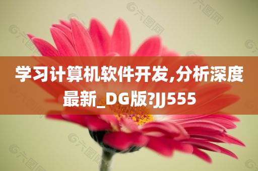 学习计算机软件开发,分析深度最新_DG版?JJ555