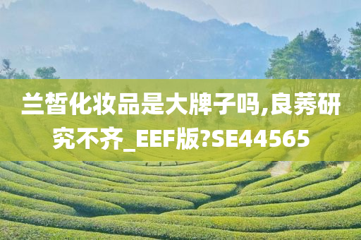 兰皙化妆品是大牌子吗,良莠研究不齐_EEF版?SE44565