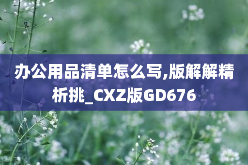 办公用品清单怎么写,版解解精析挑_CXZ版GD676