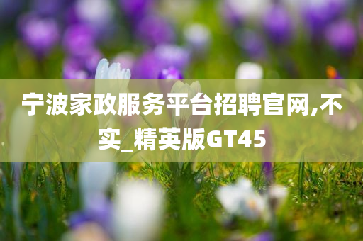 宁波家政服务平台招聘官网,不实_精英版GT45