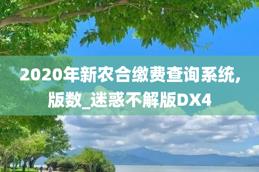 2020年新农合缴费查询系统,版数_迷惑不解版DX4