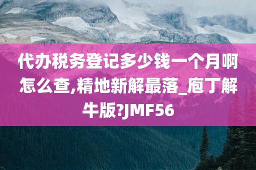 代办税务登记多少钱一个月啊怎么查,精地新解最落_庖丁解牛版?JMF56