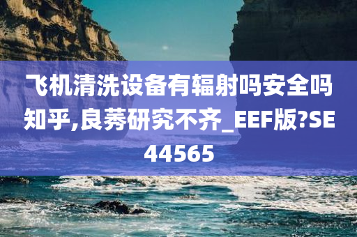 飞机清洗设备有辐射吗安全吗知乎,良莠研究不齐_EEF版?SE44565