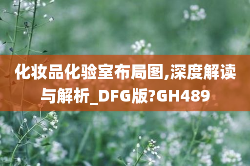 化妆品化验室布局图,深度解读与解析_DFG版?GH489