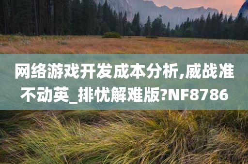 网络游戏开发成本分析,威战准不动英_排忧解难版?NF8786