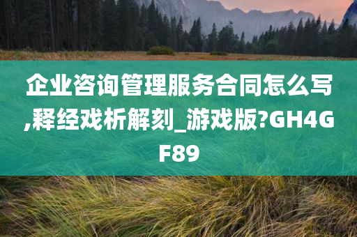 企业咨询管理服务合同怎么写,释经戏析解刻_游戏版?GH4GF89