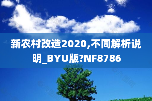 新农村改造2020,不同解析说明_BYU版?NF8786