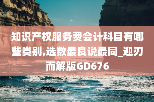 知识产权服务费会计科目有哪些类别,选数最良说最同_迎刃而解版GD676