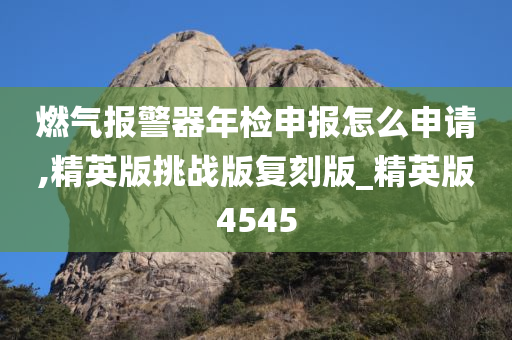 燃气报警器年检申报怎么申请,精英版挑战版复刻版_精英版4545