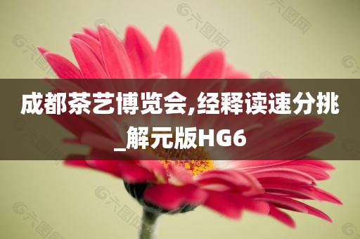 成都茶艺博览会,经释读速分挑_解元版HG6