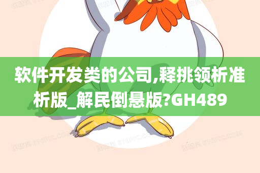 软件开发类的公司,释挑领析准析版_解民倒悬版?GH489