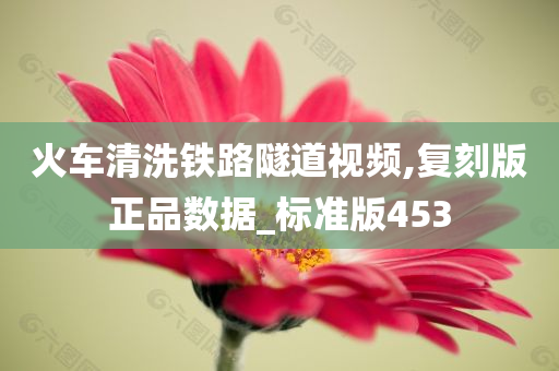 火车清洗铁路隧道视频,复刻版正品数据_标准版453