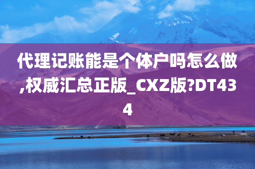 代理记账能是个体户吗怎么做,权威汇总正版_CXZ版?DT434