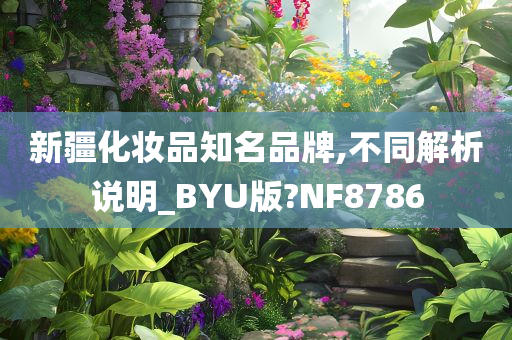 新疆化妆品知名品牌,不同解析说明_BYU版?NF8786