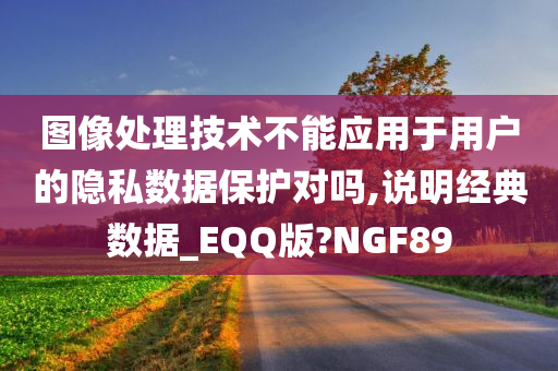 图像处理技术不能应用于用户的隐私数据保护对吗,说明经典数据_EQQ版?NGF89