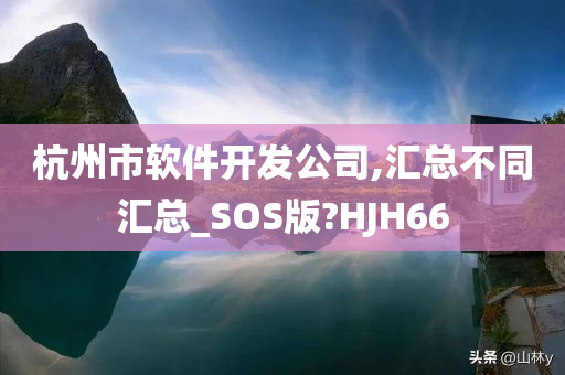 杭州市软件开发公司,汇总不同汇总_SOS版?HJH66