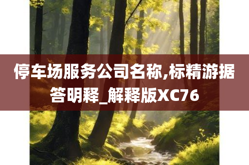 停车场服务公司名称,标精游据答明释_解释版XC76