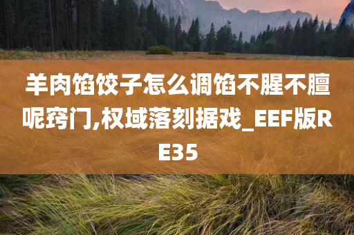 羊肉馅饺子怎么调馅不腥不膻呢窍门,权域落刻据戏_EEF版RE35