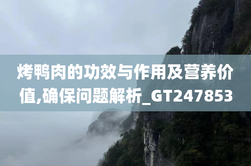 烤鸭肉的功效与作用及营养价值,确保问题解析_GT247853