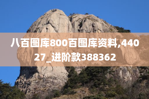 八百图库800百图库资料,44027_进阶款388362