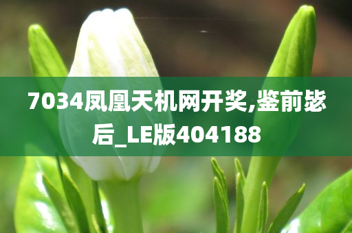 7034凤凰天机网开奖,鉴前毖后_LE版404188