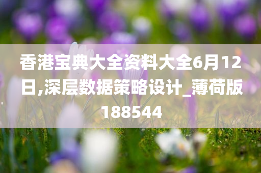 香港宝典大全资料大全6月12日,深层数据策略设计_薄荷版188544