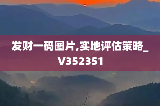 发财一码图片,实地评估策略_V352351