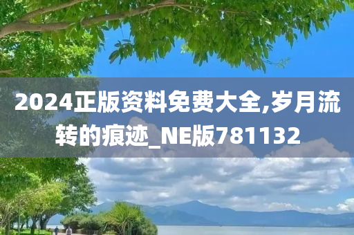 2024正版资料免费大全,岁月流转的痕迹_NE版781132