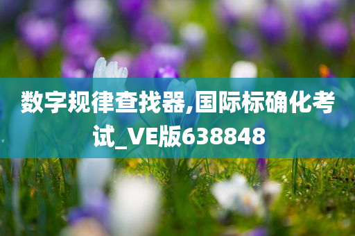 数字规律查找器,国际标确化考试_VE版638848