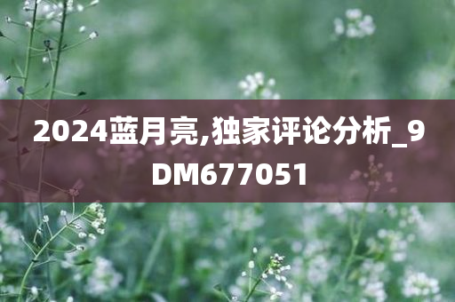 2024蓝月亮,独家评论分析_9DM677051