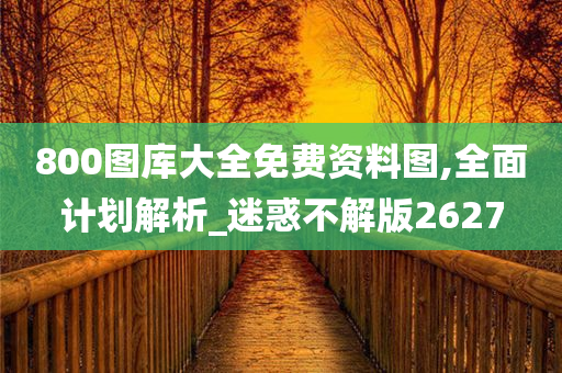 800图库大全免费资料图,全面计划解析_迷惑不解版2627