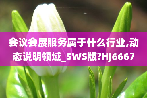 会议会展服务属于什么行业,动态说明领域_SWS版?HJ6667