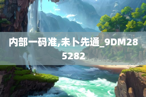 内部一码准,未卜先通_9DM285282