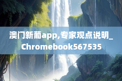 澳门新葡app,专家观点说明_Chromebook567535