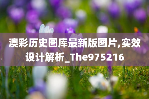 澳彩历史图库最新版图片,实效设计解析_The975216