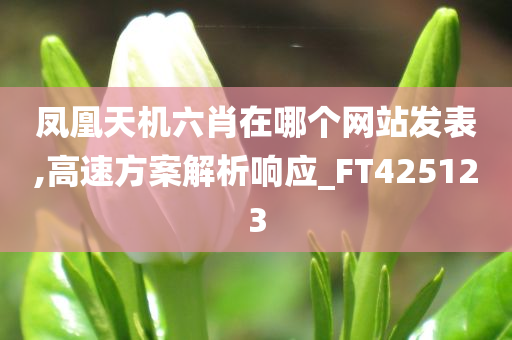 凤凰天机六肖在哪个网站发表,高速方案解析响应_FT425123