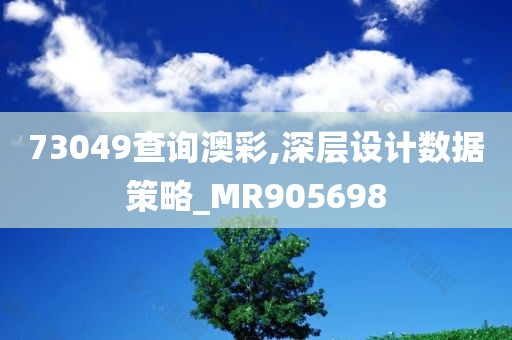 73049查询澳彩,深层设计数据策略_MR905698