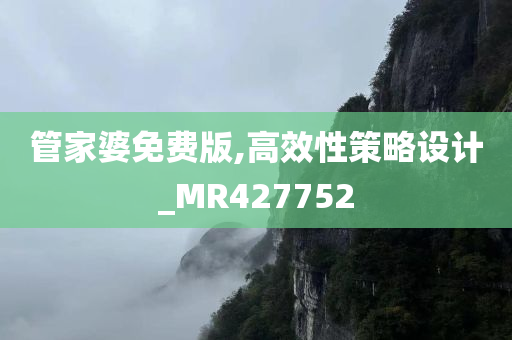 管家婆免费版,高效性策略设计_MR427752