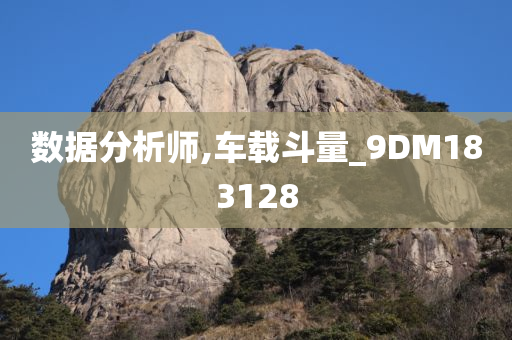 数据分析师,车载斗量_9DM183128