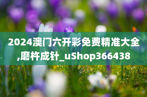 2024澳门六开彩免费精准大全,磨杵成针_uShop366438