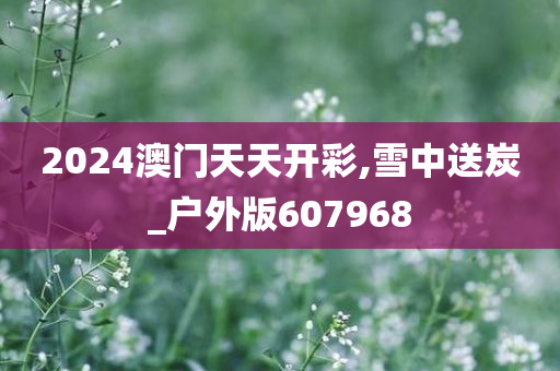 2024澳门天天开彩,雪中送炭_户外版607968