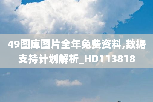 49图库图片全年免费资料,数据支持计划解析_HD113818