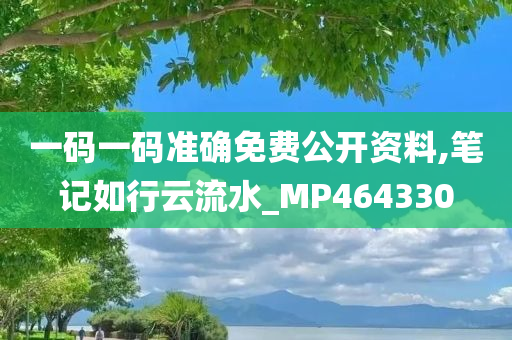 一码一码准确免费公开资料,笔记如行云流水_MP464330