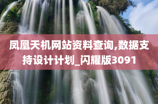 凤凰天机网站资料查询,数据支持设计计划_闪耀版3091