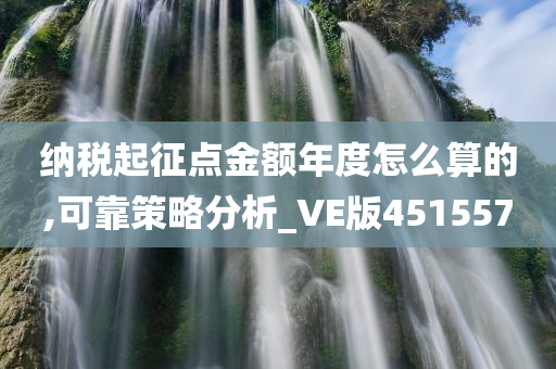 纳税起征点金额年度怎么算的,可靠策略分析_VE版451557