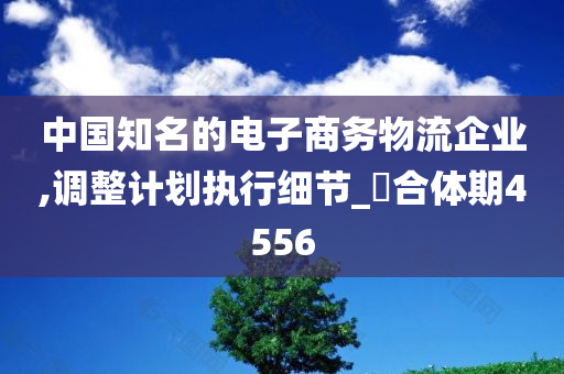 中国知名的电子商务物流企业,调整计划执行细节_‌合体期4556