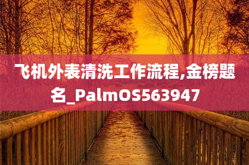 飞机外表清洗工作流程,金榜题名_PalmOS563947