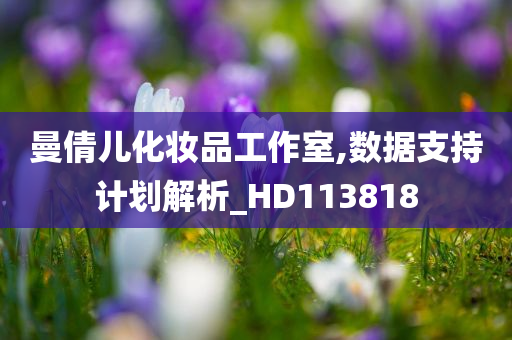 曼倩儿化妆品工作室,数据支持计划解析_HD113818