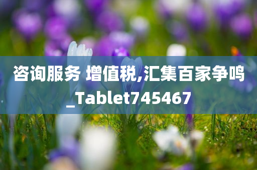 咨询服务 增值税,汇集百家争鸣_Tablet745467