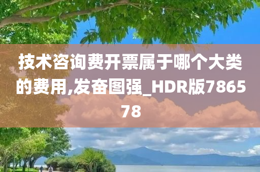 技术咨询费开票属于哪个大类的费用,发奋图强_HDR版786578